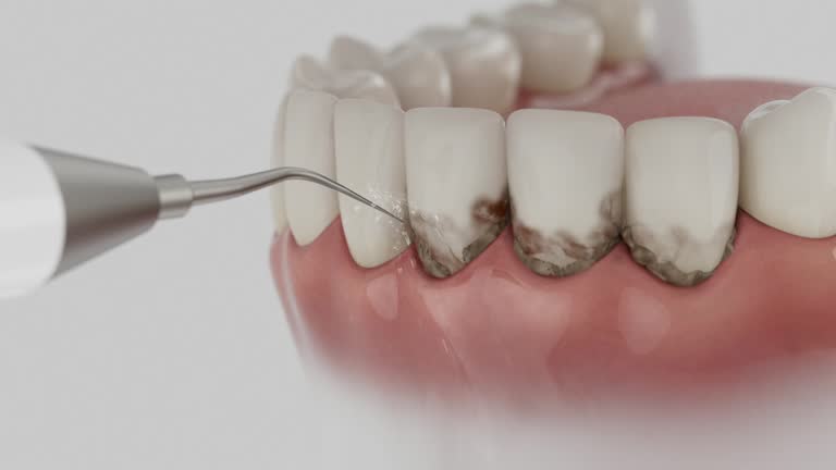 Reliable Dental contractor in Elizabeth, PA by Dentist Open Now